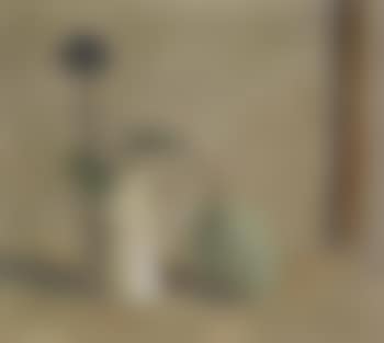 Still life (preview)