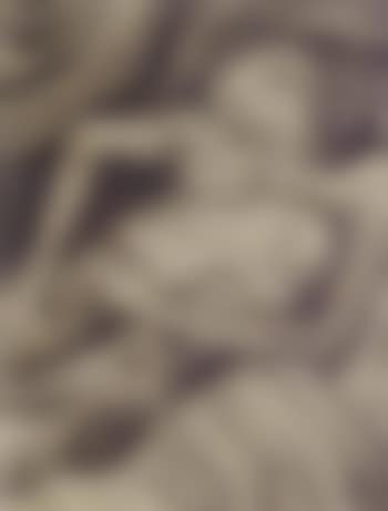 Nude with cat (preview)