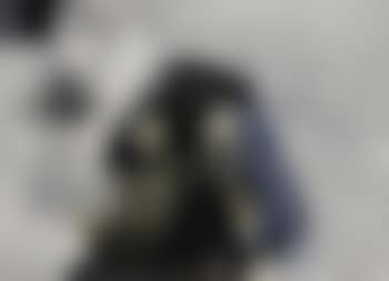 Composition (preview)