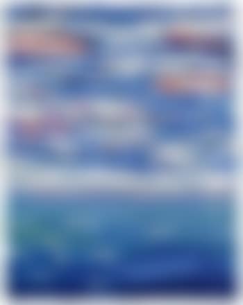 Head, sea, landscape (preview)