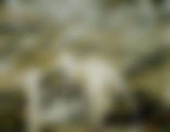 Van Gogh's chair (preview)