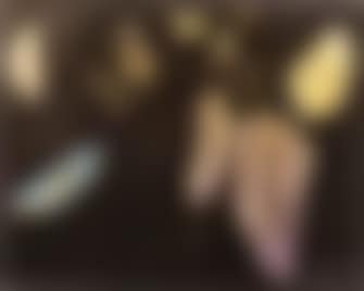 Signes stellaires (preview)