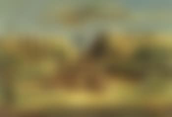 Paysage de Provence (preview)