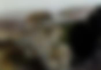 Houses in southern France (preview)