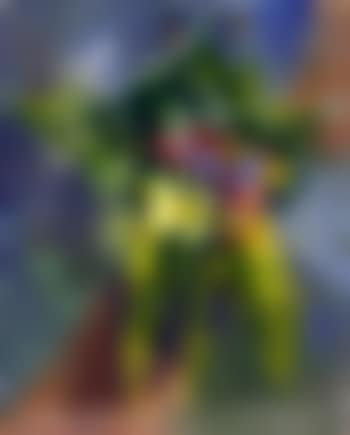 Woodland flowers (preview)