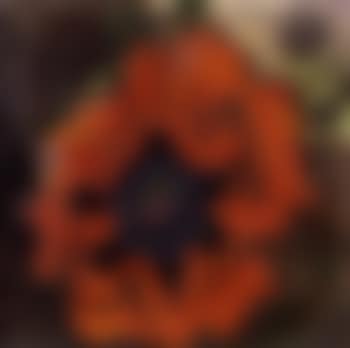 Poppy (preview)