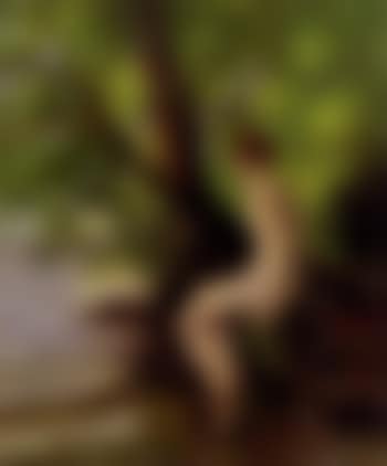 A beauty by water (preview)