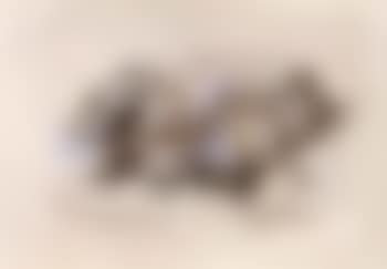 Composition (preview)