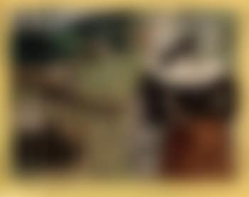 Bretonnes a la barriere (preview)