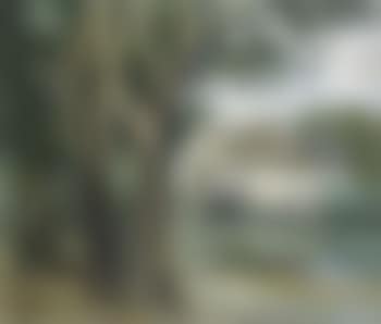 Le petit moulin (preview)