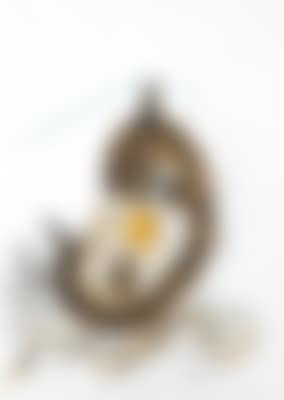 Echidna (preview)