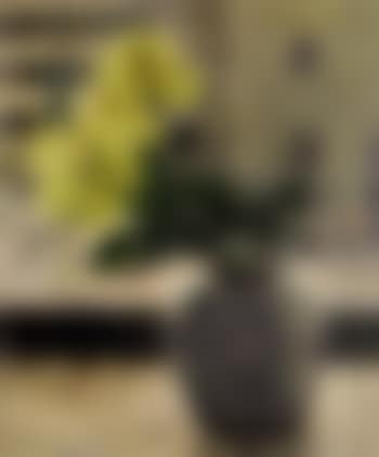 Still life of yellow roses (preview)