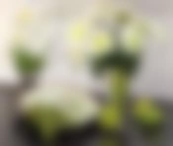 Still life of flowers, fruit and dish (preview)