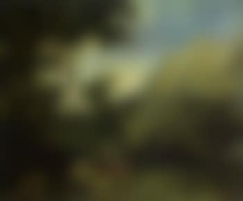 Breakfast in landscape (preview)