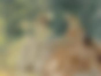Le The (preview)