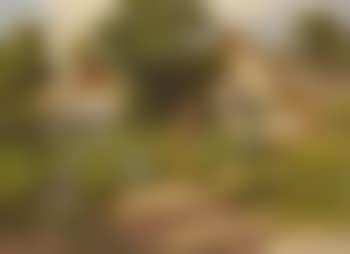 In the garden (preview)