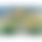 View of Tucson, Arizona (preview)