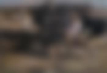 Lad wrestling with two cattle in Altrhein (preview)