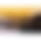 Composition in yellow, black, white - 22-2-1967 (preview)