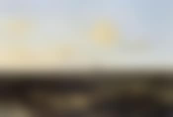 Extensive landscape near Haarlem with Saint Bavo Cathedral in distance (preview)