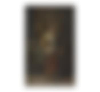 Knight in shining armour (preview)