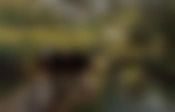 Sous les rochers de Logne (preview)