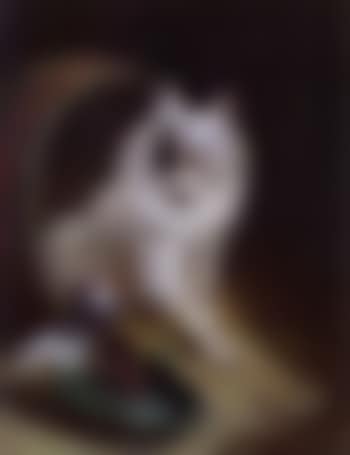 Feathered friend (preview)
