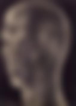 Portrait (preview)