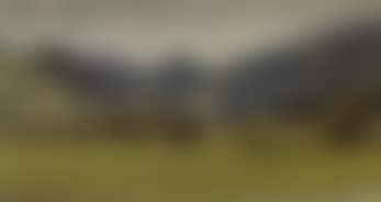 Mountainous landscape (preview)