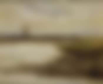 Lake landscape (preview)