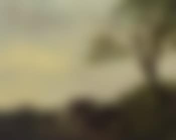 Shepherdess milking cows in a landscape (preview)
