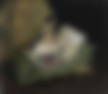 Dolls (preview)