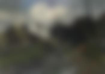 Peasant woman near a farm (preview)