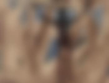 Congolese woman (preview)