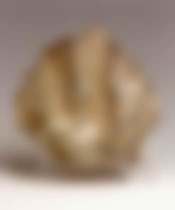 Seashell (preview)