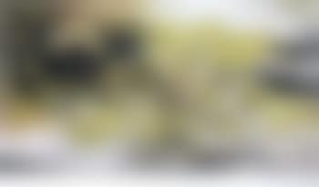 Composition (preview)