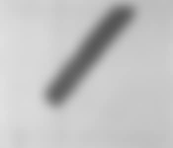 Diagonal blue (preview)