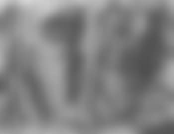 Composition in grey (preview)
