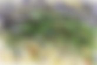 5 August (preview)