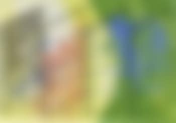 Untitled (preview)