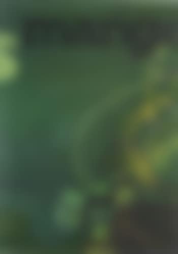 Mange (preview)