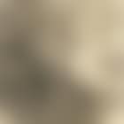 Tranquil landscape (preview)