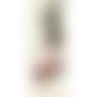 Lychee (preview)