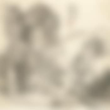 Landscape (preview)