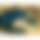 Landscape (preview)