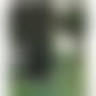 Arbres aux Andelys (preview)