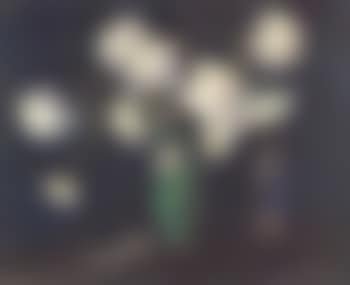 Roses dans un vase vert (preview)