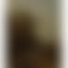 Wooded Italianate landscape (preview)