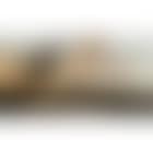 Panoramic view (preview)