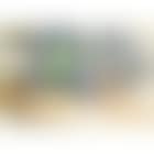 Nature morte au melon vert (preview)